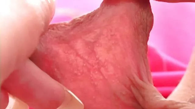 Anal kama sutra pormo erotico hecho fácil