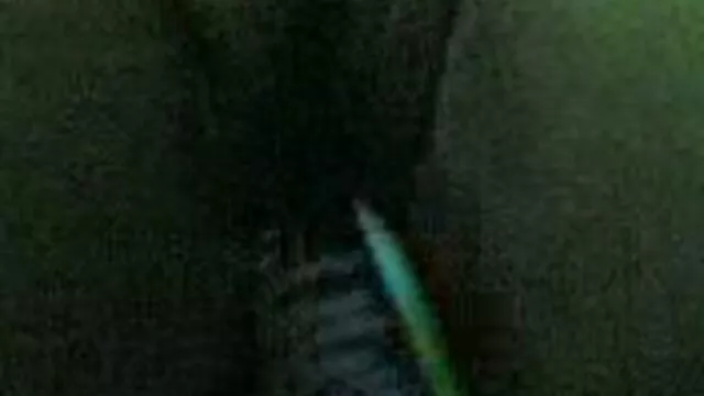 Oda a los pioneros 36 videos exposexo (restaurada)